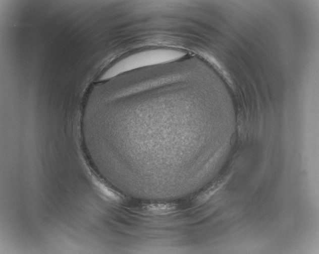 X0000074290445200609222313