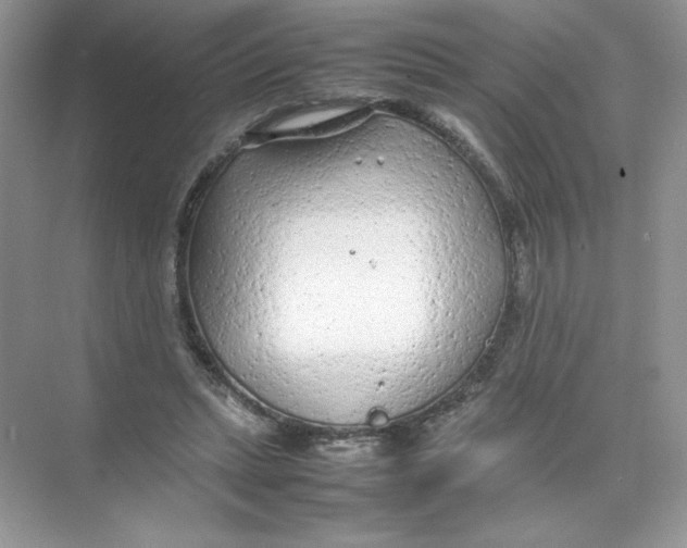 X0000074290447200609222313