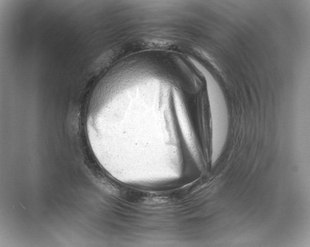 X0000074290451200609222313