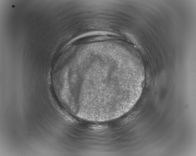 X0000074290453200609222313