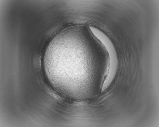 X0000074290454200609222313