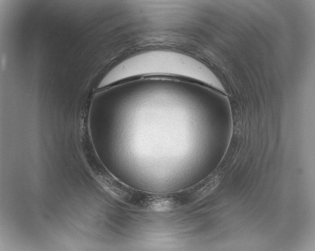 X0000074290456200609222313