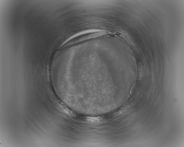 X0000074290457200609222313