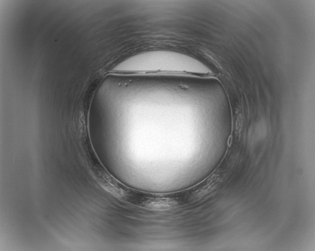 X0000074290459200609222313