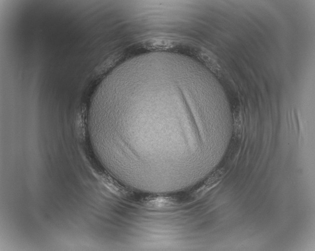 X0000074290460200609222313