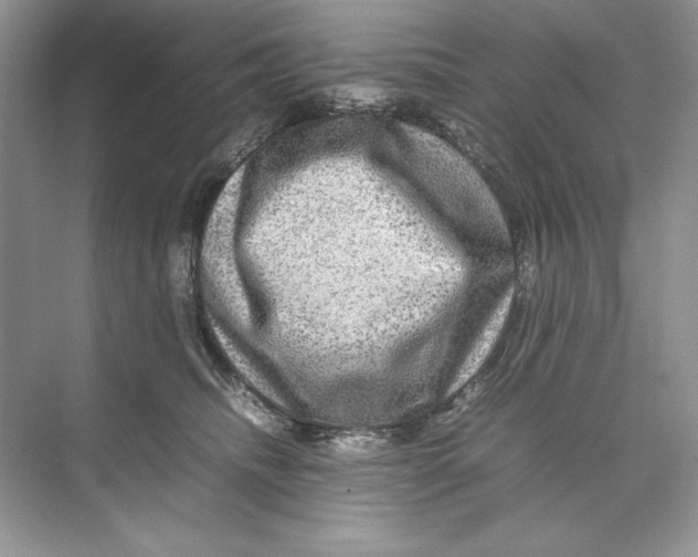 X0000074290468200609222313