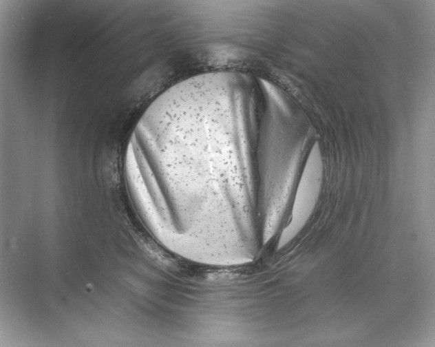 X0000074290470200609222314