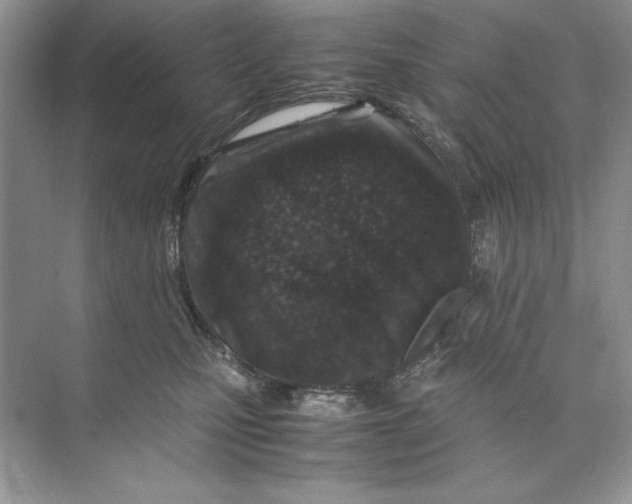 X0000074290471200609222314