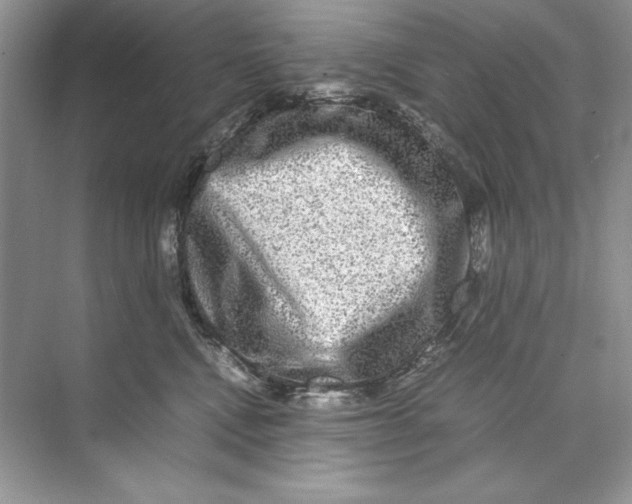 X0000074290472200609222314