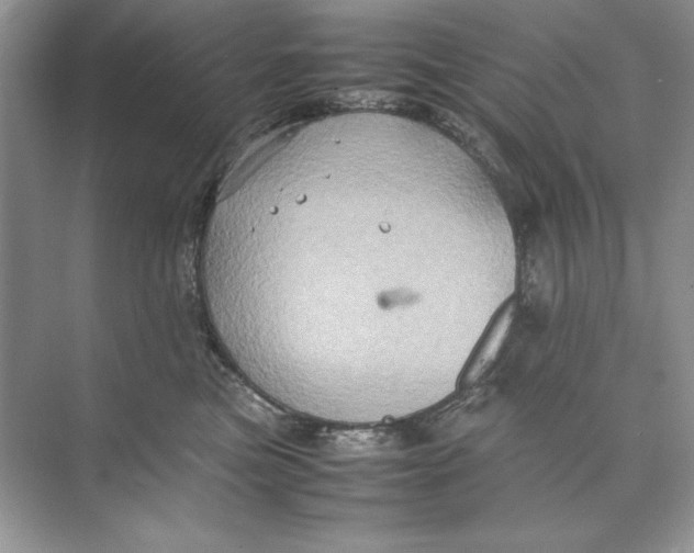 X0000074290473200609222314