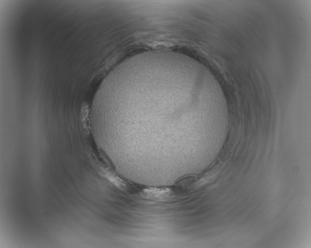 X0000074290480200609222314