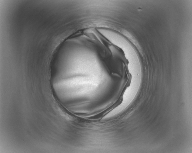 X0000074290481200609222313