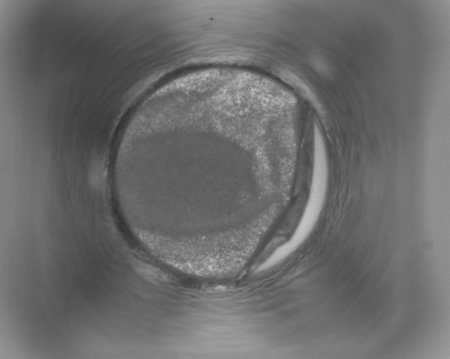 X0000074290483200609222313