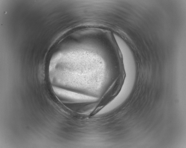 X0000074290484200609222313