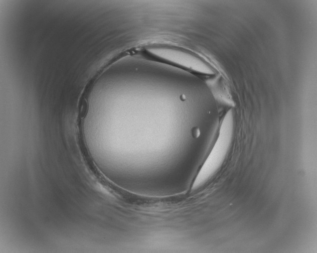 X0000074290485200609222313