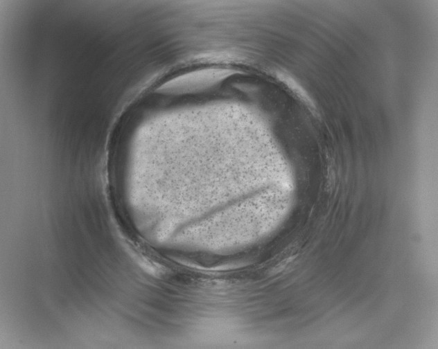 X0000074290486200609222313