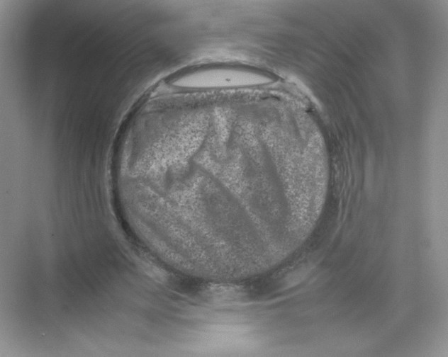 X0000074290487200609222313