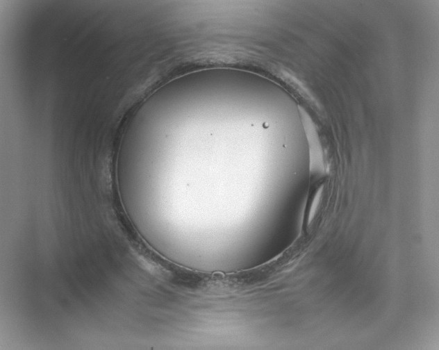 X0000074290489200609222313