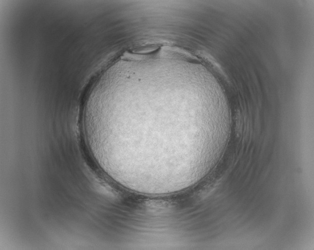 X0000074290490200609222313