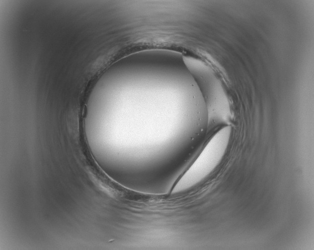 X0000074290493200609222313