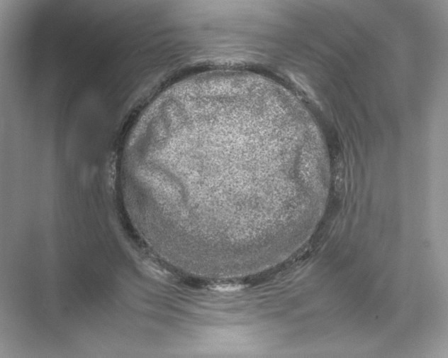 X0000074290495200609222313