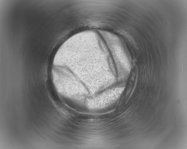 X0000074290496200609222313