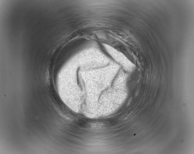 X0000074290500200609222313