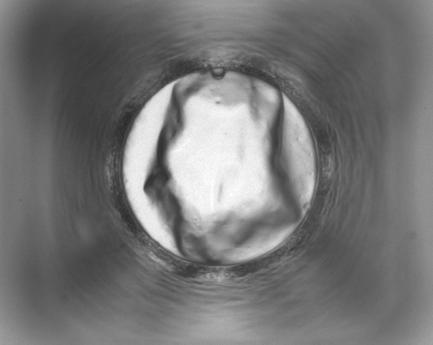 X0000074290503200609222313