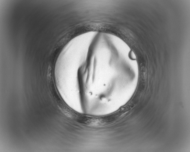 X0000074290507200609222312