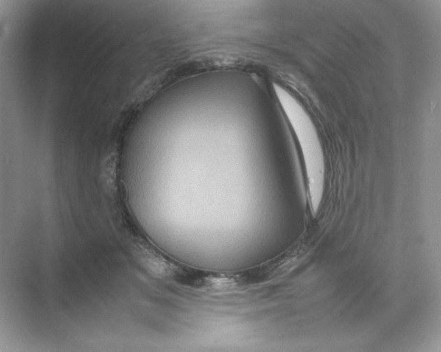 X0000074290509200609222312