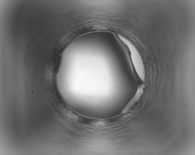 X0000074290513200609222312