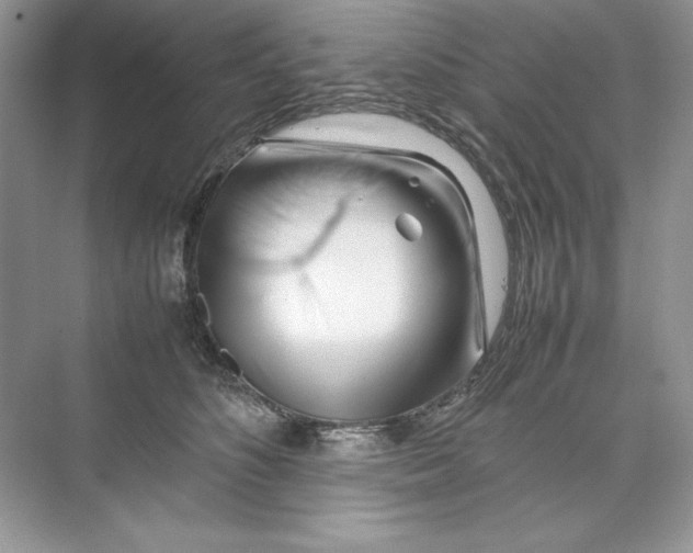 X0000074290516200609222312