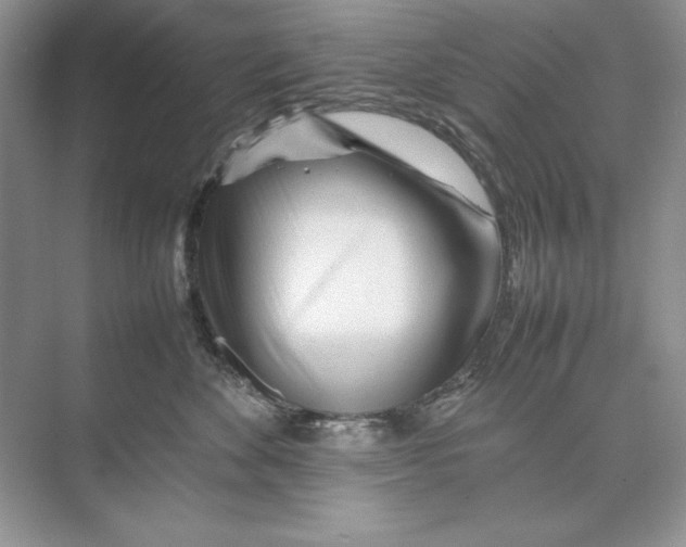 X0000074290524200609222312