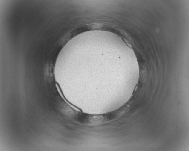 X0000074290525200609222312