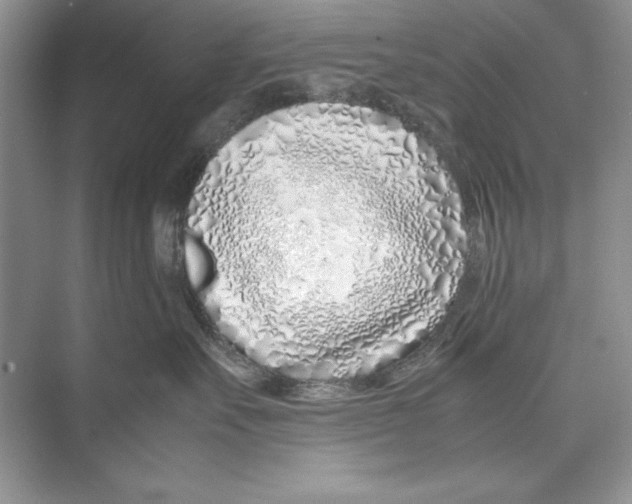 X0000074290527200609222312