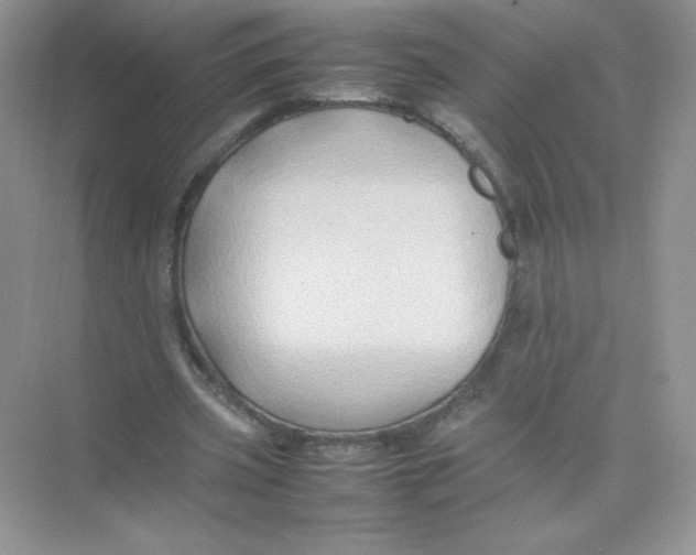 X0000074290533200609222311