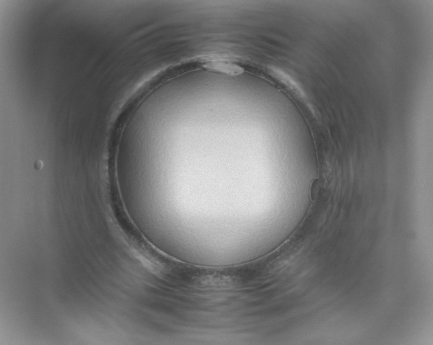 X0000074290535200609222311