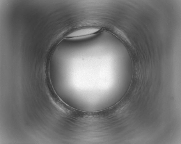 X0000074290538200609222311