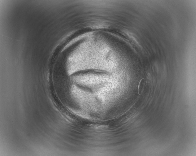 X0000074290539200609222311