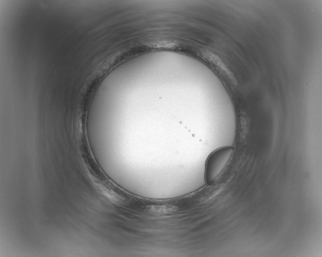 X0000074290541200609222311