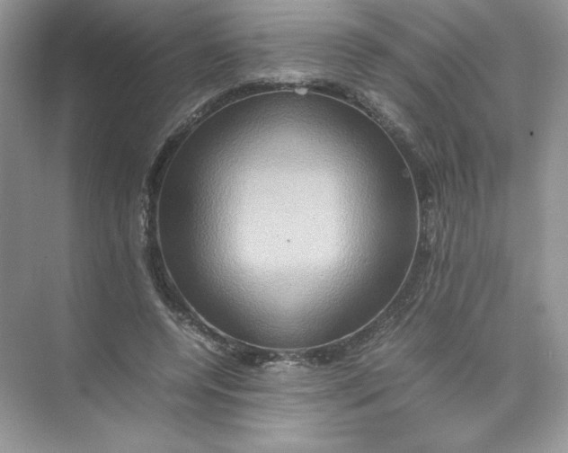 X0000074290544200609222312