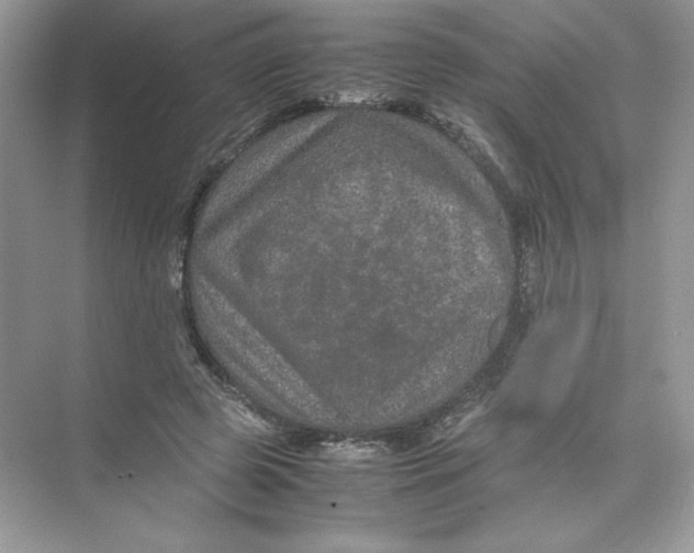 X0000074290545200609222312