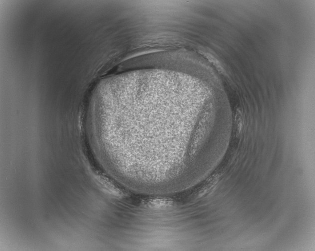 X0000074290546200609222312