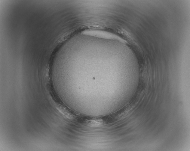 X0000074290548200609222312