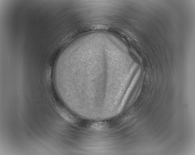 X0000074290550200609222312