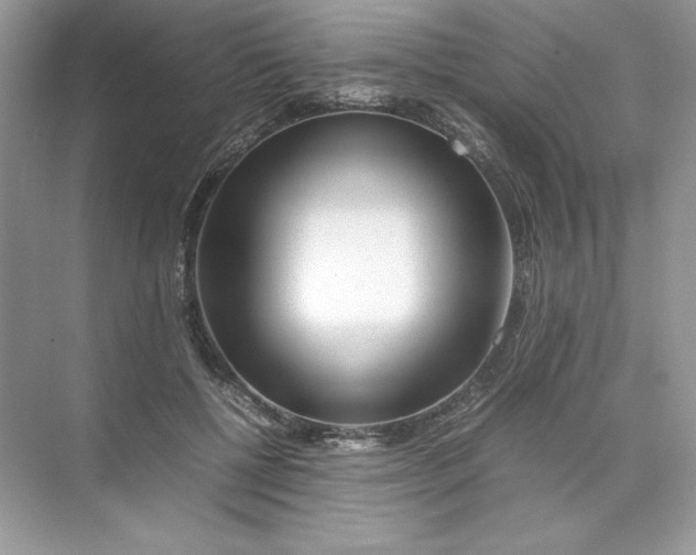 X0000074290552200609222312