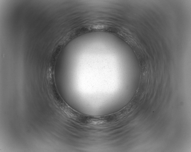 X0000074290555200609222312