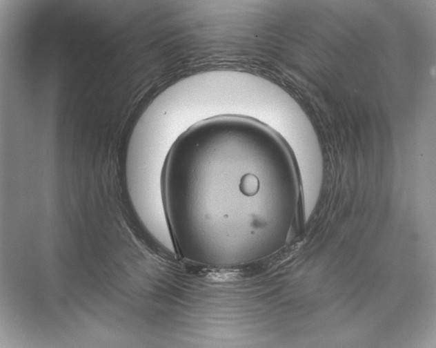 X0000074290560200609222312