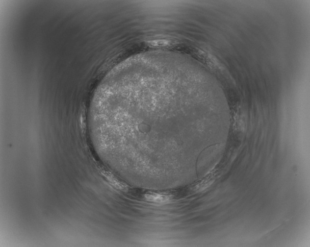 X0000074290561200609222312