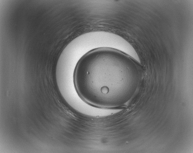 X0000074290566200609222312